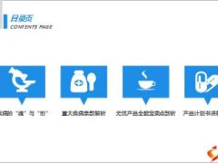 新华无忧全能保卖点分析及建议书讲解41页.ppt
