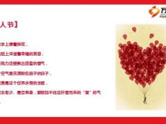 2016情人节大胆说保险懂爱的人会懂保险11页.ppt