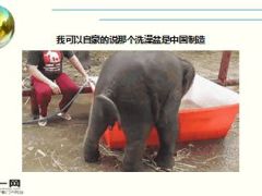 每日快乐早会16年1月22日使用15页.ppt