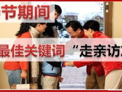 2016年2月春节假日经营业务方案19页.ppt