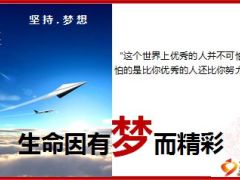优秀险商分享用系统运作打造万人团队含备注140页.ppt