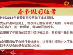 2016春节营销部假日经营回顾汇报11页.ppt