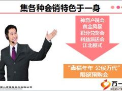 产说会会前会中会后鑫福年年国寿版34页.ppt
