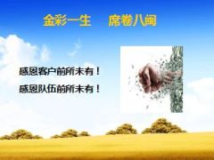 新经济形势下购买保险四大理由21页.ppt