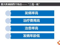 中国重大疾病各类大数据分析新华版29页.ppt