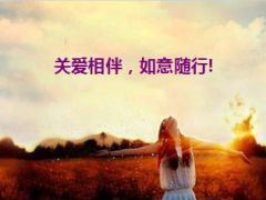 新人入职培训开心农场开发客户国寿版24页.ppt