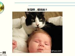 每日快乐早会16年1月27日使用15页.ppt