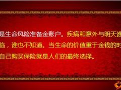 2016新春寄语未来保险大趋势21页.ppt
