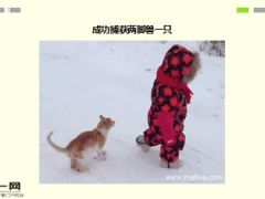 每日快乐早会16年1月29日使用15页.ppt