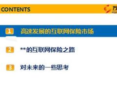 互联网保险未来发展的若干思考24页.ppt