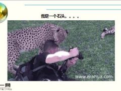 每日快乐早会16年1月30日使用15页.ppt