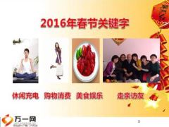 2016春节假日经营商机无限国寿鑫福年年版36页.ppt