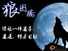 2016酒会推动用狼的精神猎杀开门红22页.ppt
