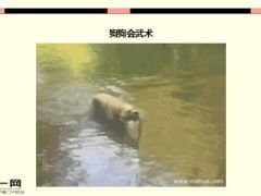 每日快乐早会16年2月1日使用15页.ppt