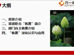 2016银保亲子客养活动大手牵小手DIY系列介绍27页.ppt