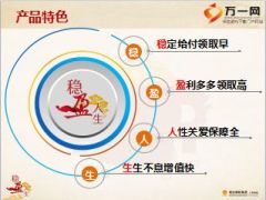 2016养老重疾成人产说会阳光稳盈人生版49页.ppt