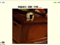 每日快乐早会16年2月2日使用15页.ppt