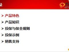 阳光一路阳光产品知识特色规则案例销售支持39页.ppt