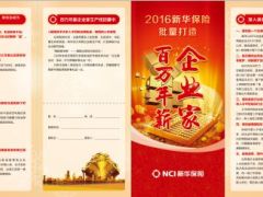 新华百万年薪企业家生产线四折页.rar