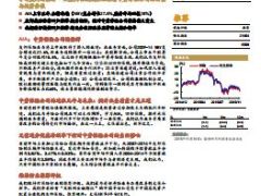从友邦保险成功经验看中资寿险公司的转型与投资价值.rar