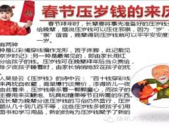 用压岁钱撬动状元红销售截图版21页.ppt