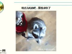 每日快乐早会16年2月3日使用15页.ppt