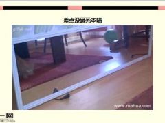 每日快乐早会16年2月4日使用15页.ppt