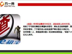 E租宝老板私生活极其奢侈10页.ppt