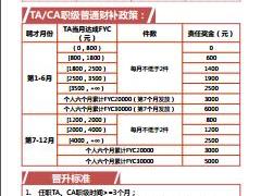 阳光人寿基本法各职级明白卡31页.rar