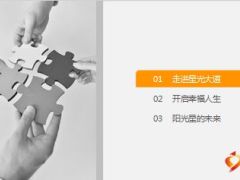 阳光人寿阳光之星基本法政策解析C版36页.ppt