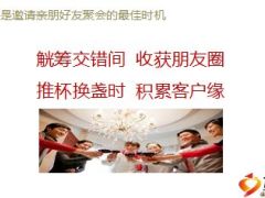 2016新春假日营销创新酒会宣导篇26页.ppt