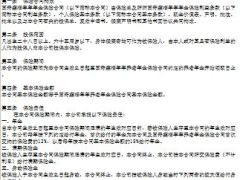 国寿鑫福年年组合计划演示自动计划书.rar