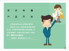 新华保险20周年司庆总体方案队伍宣导版22页.ppt