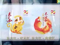 视频2016太保东方红满堂状元红上市宣导片.rar