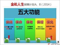 太平洋寿险热销产品产品形态20页.ppt