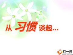 从习惯的力量谈工作习惯日志客户档案总结24页.ppt