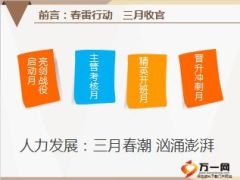 分公司2016三月人力发展工作计划37页.ppt
