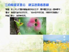 分公司2016三月春耕行动营销工作安排58页.ppt