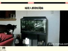 每日快乐早会16年2月15日使用15页.ppt