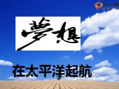 储备干部工程项目介绍太平洋版13页.ppt