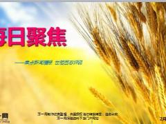 每日新闻早会资讯2016年2月17日早会使用20页.ppt