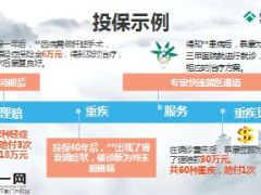 泰康人寿乐安康终身重疾保险产品介绍13页.ppt