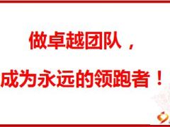 光新臣分享快速发展组织的两要素43页.ppt