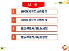 惠民保险服务专员运作背景原理成效思考24页.ppt