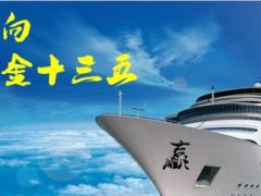 行业再造的国寿十三五12页.ppt