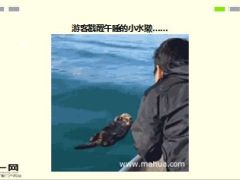 每日快乐早会16年2月19日使用13页.ppt