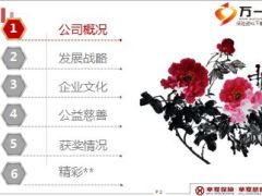 2016华夏保险公司简介62页.ppt