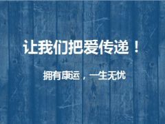 国华人寿康运一生产品简介14页.ppt
