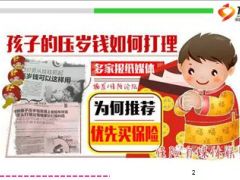 压岁钱多家报纸推荐买保险11页.ppt