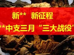 保险公司三月业务增员冲锋战役启动片44页.ppt